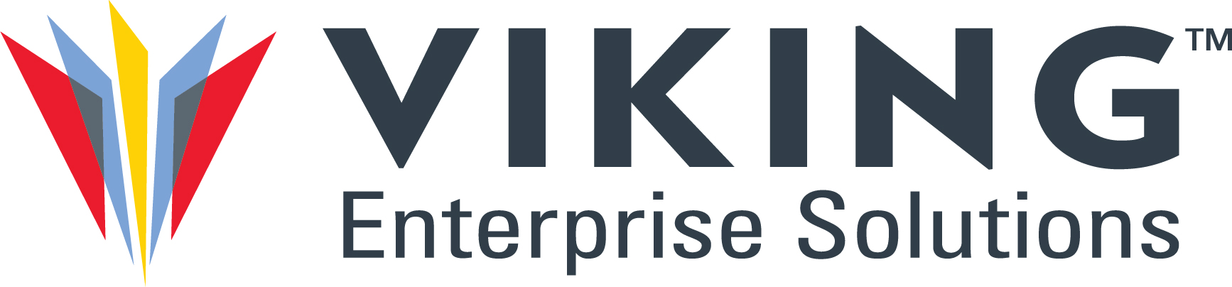 Viking Enterprise Solutions